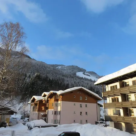 Loitfelder-pang